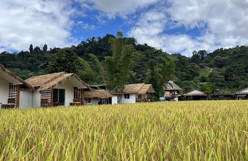 Bo Kluea House | Sapan Dee View