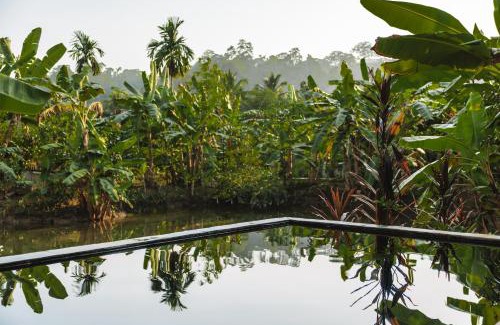 Havelock Island Villa | SatyaVilla6