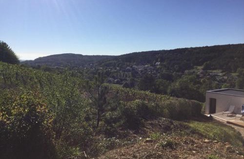 Savigny-les-Beaune Villa | Savigny view