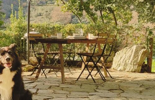 Calice Ligure Apartment | Sbilenca Sbilenchina - Charming Houses, Garden & BBQ for Climbers, MTB Lovers & Families