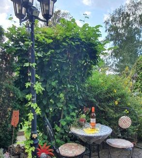 Felsberg Apartment | Schöne Ferienwohnung mit Terrasse und Garten