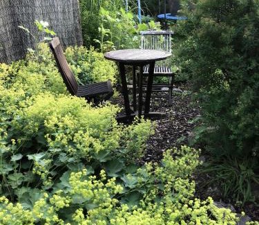 Osnabrueck Apartment | Schöne Wohnung In Widukindland Mit Grill, Garten Und Terrasse