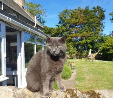 St. Andrews Bed & Breakfast | Scooniehill Farm House B&B