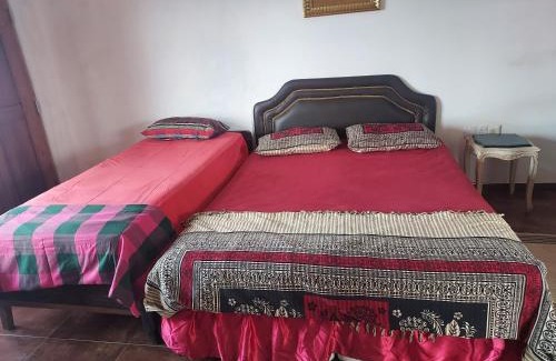Wennappuwa Bed & Breakfast | Sea Bay Resort