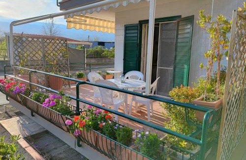Sant'Anna Apartment | Sea Garden, fronte mare con piscina