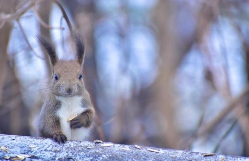 Abashiri House | Sea Side Stay/Vacation STAY 1785