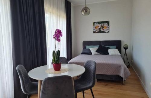 Engure Apartment | Seaside Apartment "Sunrise" with terrace in Ķesterciems, Albatross