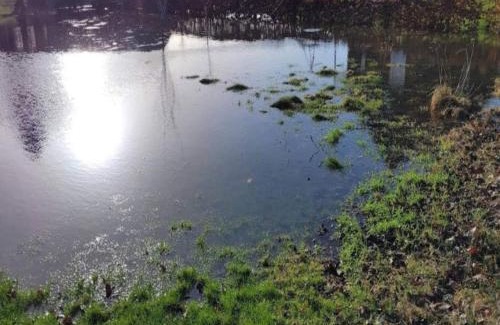 Ristinge House | Seaside Charm in Ristinge-By Traum