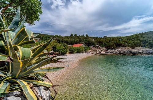 Rasohatica House | Seaside house for families with children Cove Rasohatica, Korcula - 4386
