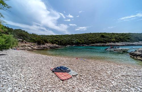 Rasohatica House | Seaside house for families with children Cove Rasohatica, Korcula - 4386