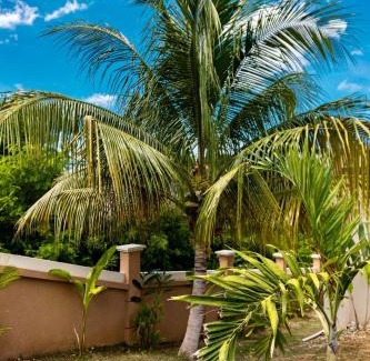 Whitehouse House | Seaview Penthouse Retreat 4 Beds 3 Baths Stay