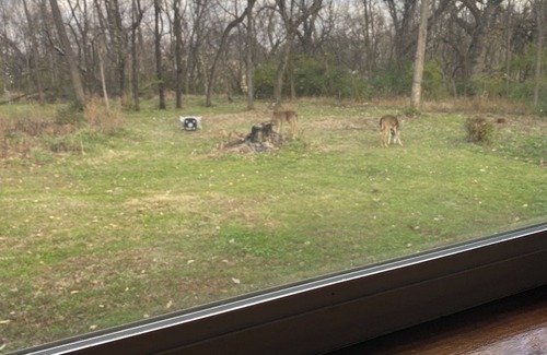 Farmington Cottage | Secluded 5 acre parcel. 3 bedrooms and 2 bathrooms.