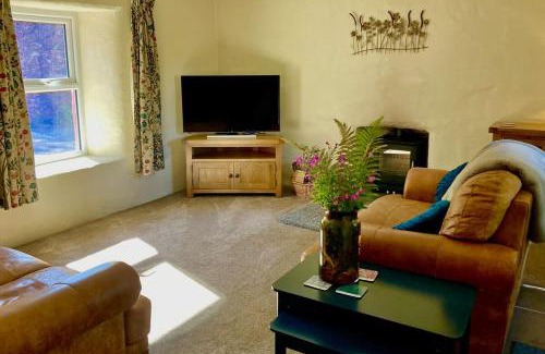 Milford Haven House | Secluded cottage with hot tub