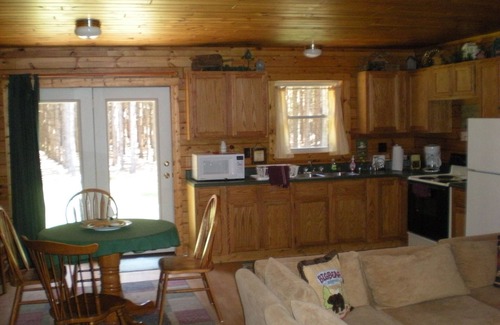 Manistee Cabin | Secluded log cabin in Manistee Nat'l Forest with access to Lake Michigan beach.