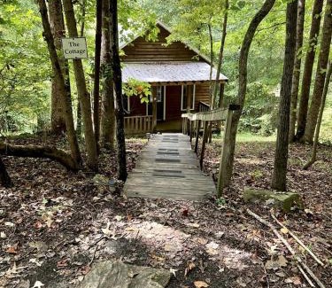 Elkin House | Secluded Woodland Cabin Rental with Hot Tub in Yadkin Valley Wine Region