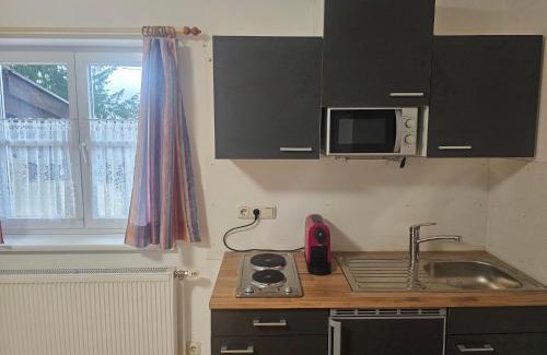 Steinbach am Attersee Apartment | Seeparadies