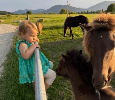 Bad Kohlgrub House | SEINZ Tiny House Natururlaub