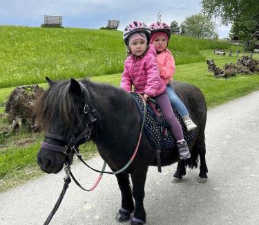 Bad Kohlgrub House | SEINZ Tiny House Natururlaub