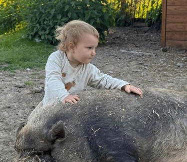 Bad Kohlgrub House | SEINZ Tiny House Natururlaub