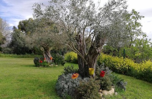 Fonteta Cottage | Self catering Can Nentia for 9 people