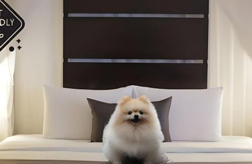 Sao Judas Apartment | Self Checkin 24h Apê Acolhedor em Itajaí Ar e Wifi