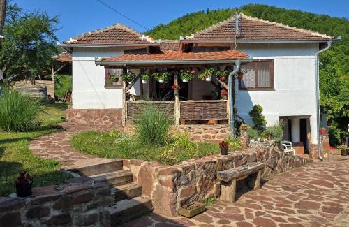 Stara Planina House | Seosko domaćinstvo „GABAR”