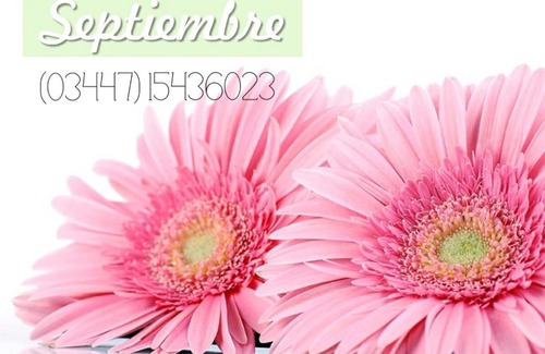 Colon House | Septiembre