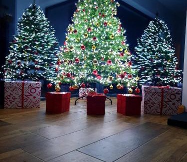 Donagh Apartment | Serenity Lodge