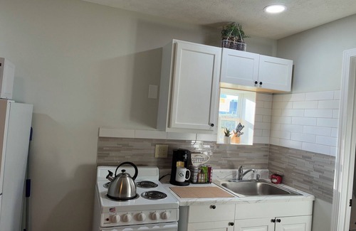 Springfield Apartment | Serenity Studio with WiFi and Kitchen Travel Professionals Delight