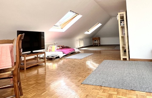 Jargonnant Apartment | Service Loft in Central Geneva