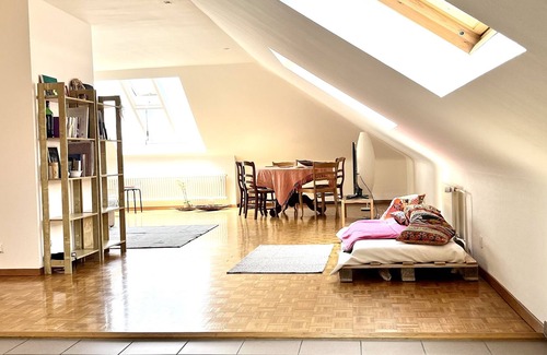 Jargonnant Apartment | Service Loft in Central Geneva