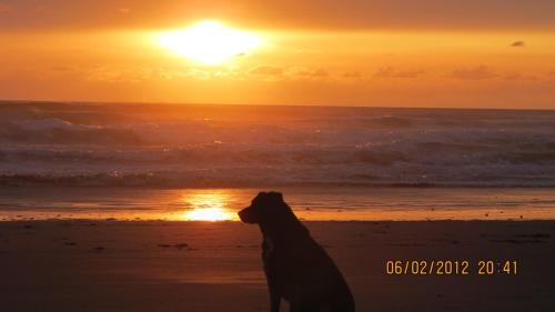 Newport Hotel | Seven Seas Inn & Suites