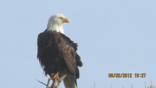 Newport Hotel | Seven Seas Inn & Suites