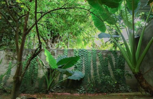 Kathaluwa Other | Shady Cottage