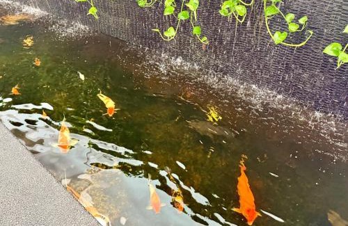 Cyberjaya Apartment | Shaftsbury Cyberjaya