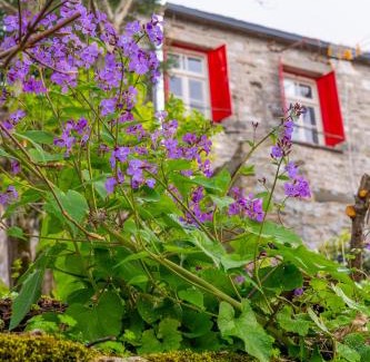 Elati Hotel | Shamrock Elati Retreats