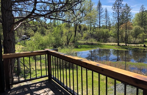 Rough and Ready Cottage | Shangrila with view of wildlife pond above artist's studio in Rough and Ready