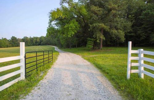 McEwen House | Sharp Shin at Buckhorn Hollow