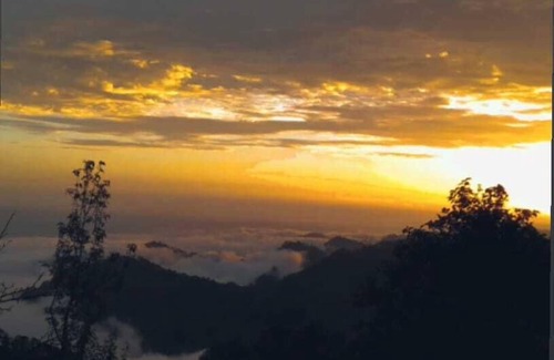 Naddi House | Sharry's Homestay