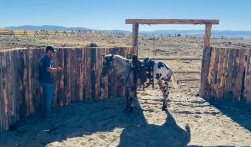 Cameron House | Sheep Creek Ranch Apartment