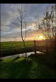 Sint Maartensbrug Apartment | Shepherd's hut 'De Skoeboet'
