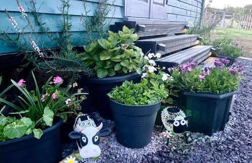 Llanfairpwllgwyngyll House | Shepherds Hut with Hot Tub North Wales Anglesey