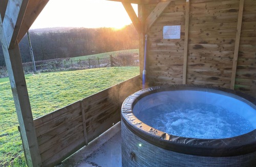 Newbridge Cabin | Shepherds hut-hot tub-dog friendly -views