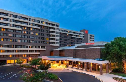 Norfolk Hotel | Sheraton Norfolk Waterside Hotel