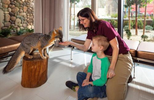 Redding Hotel | Sheraton Redding Hotel at the Sundial Bridge