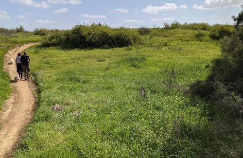 Merhavim Cabin | Sherman's place - שרמנ'ס פלייס
