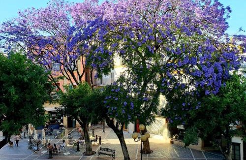 Jerez de la Frontera Old Town Apartment | Sherryflat Senovilla