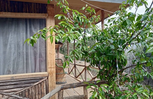 Suni Cottage | Shimla Cottages & Camp