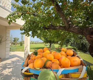 Capaccio Scalo Bed & Breakfast | Si Sofia country house