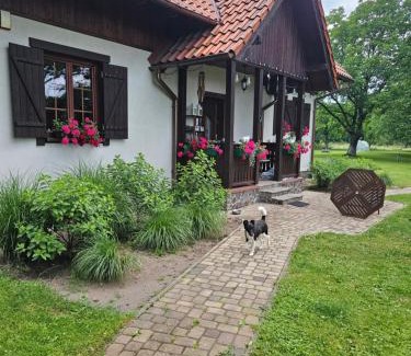 Nowy Dwor Gdanski Villa | Siedlisko w Starym Sadzie